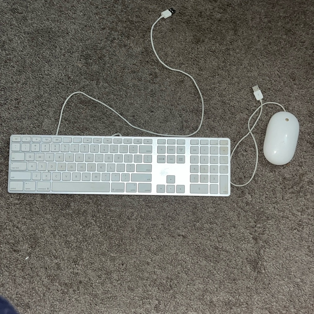 Apple White  Keyboard & Mouse